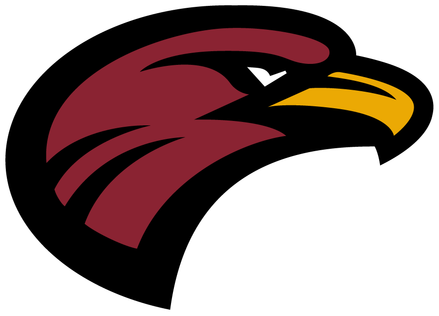 Louisiana-Monroe Warhawks 2018-Pres Secondary Logo diy iron on heat transfer